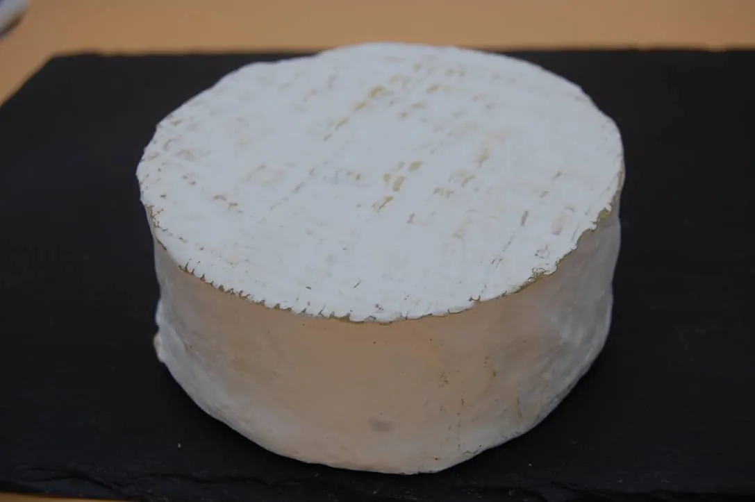 BRILLAT SAVARIN