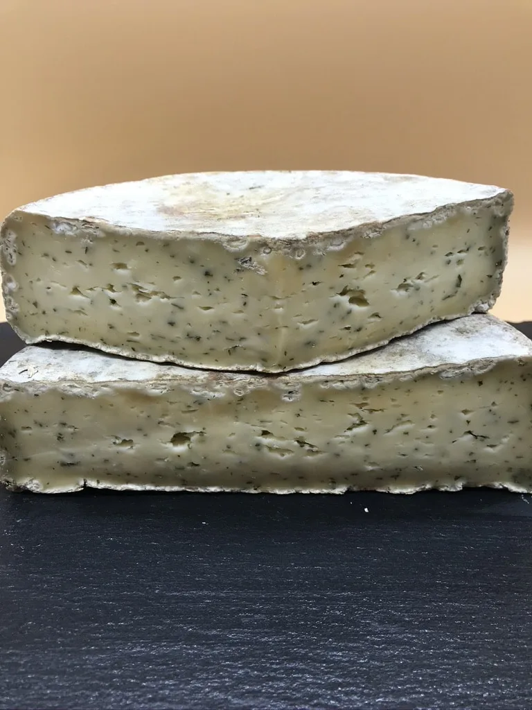 TOMME AILS DES OURS