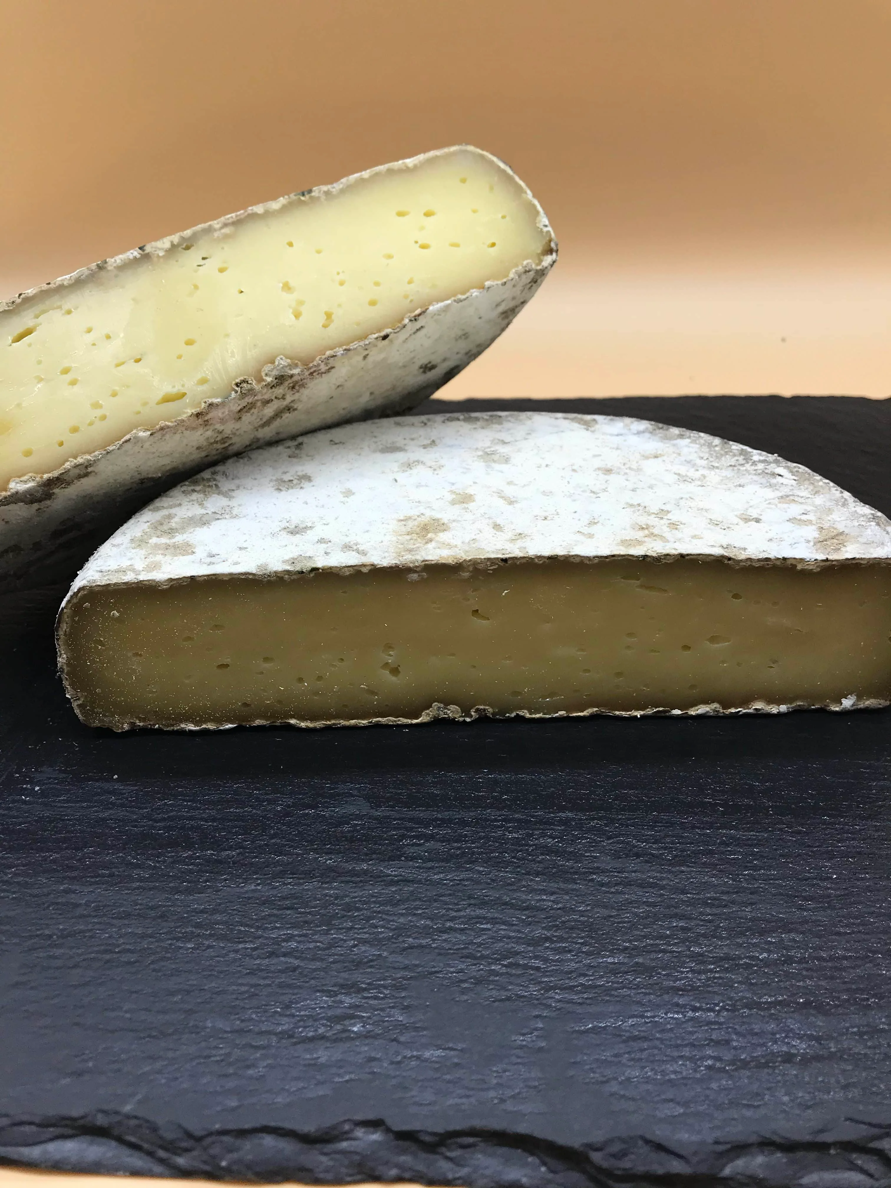 TOMME DES BAUGES