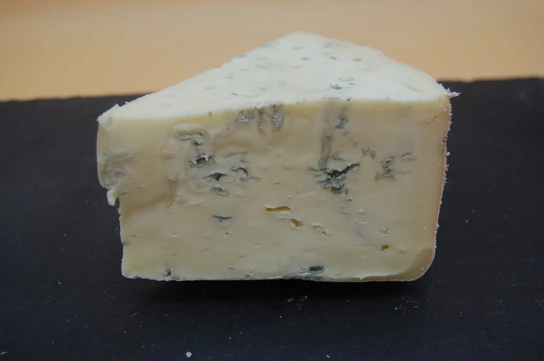 GORGONZOLA